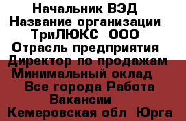 Начальник ВЭД › Название организации ­ ТриЛЮКС, ООО › Отрасль предприятия ­ Директор по продажам › Минимальный оклад ­ 1 - Все города Работа » Вакансии   . Кемеровская обл.,Юрга г.